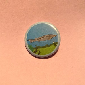 Könnte beinhalten: Ein runder Knopf mit blauem Hintergrund, auf dem ein grauer Stör im Wasser schwimmt. Der Stör schwimmt zur rechten Seite des Knopfes. Das Wasser ist hellblau und der Stör ist hellgrau. Der Knopf hat einen weißen Rand.