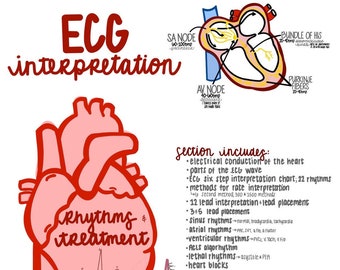 Heartbeat Mastery: Your Ultimate Guide to ECG Expertise and Life-Saving Interventions