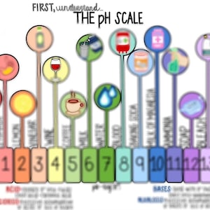 Könnte beinhalten: Ein farbiges Diagramm, das die pH-Skala von 0 bis 14 veranschaulicht. Die Skala ist in Abschnitte unterteilt, die saure, neutrale und basische Lösungen darstellen. Jeder Abschnitt ist mit einer Zahl und einem entsprechenden Bild gekennzeichnet, wie z. B. eine Zitrone, Wein, Kaffee, Wasser und Bleichmittel.