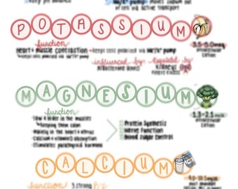 May include: A colorful infographic with the words "Sodium", "Potassium", "Magnesium", and "Calcium" in large, colorful letters. Each word is surrounded by smaller circles with the same color. The infographic also includes the function and regulation of each mineral, along with a small illustration of a food source for each mineral.