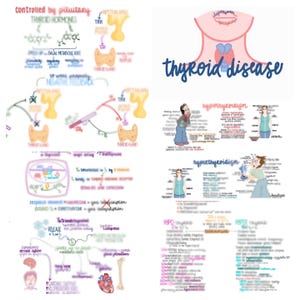 May include: A colorful diagram explaining thyroid disease. The diagram includes illustrations of the thyroid gland, the pituitary gland, and the hypothalamus. It also includes text describing the different types of thyroid disease, including hyperthyroidism and hypothyroidism. The diagram also includes text describing the symptoms of thyroid disease.