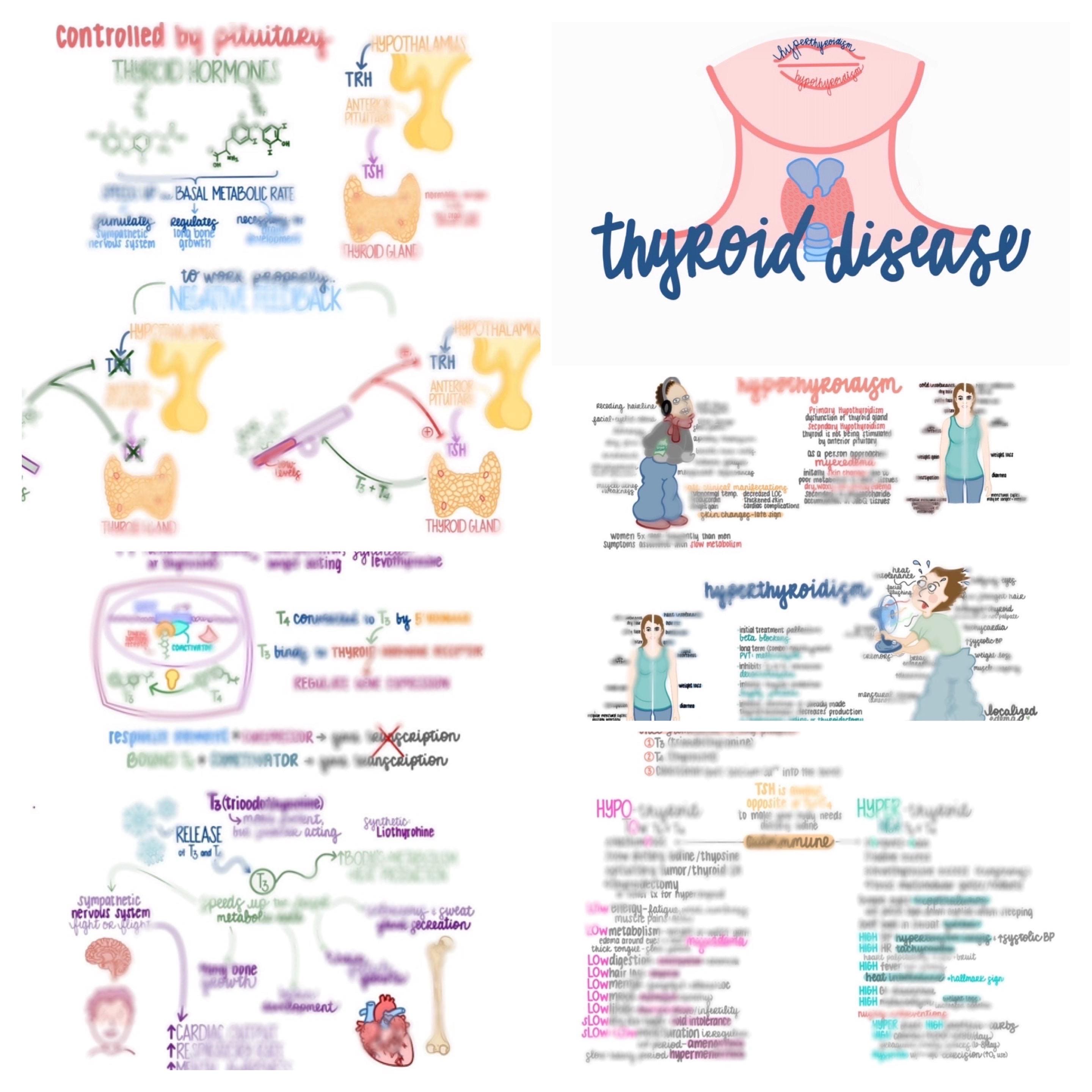 THYROID DISEASES: Comprehensive Nursing Guide to Hyper+Hypothyroidism + Their Complications—Including Thyroid Storm & Myxedema Coma!