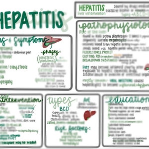 Könnte beinhalten: Ein grün-weißes illustriertes Diagramm über Hepatitis, eine Leberentzündung. Das Diagramm enthält Informationen über Anzeichen und Symptome, Phasen, medizinische Intervention, Typen, Risikofaktoren und Aufklärung. Das Diagramm enthält eine Leberillustration.