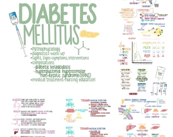 Essential Diabetes Mellitus Nursing Guide: Pathology, Diagnosis, Interventions & Key Complications—Including DKA + HHNS