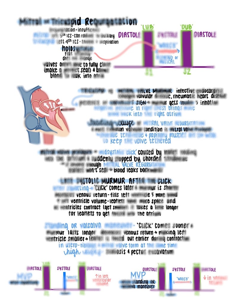 Heart Murmurs Nursing Notes For Nurses Etsy
