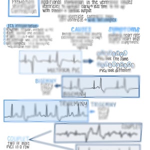 Heartbeat Mastery: Your Ultimate Guide to ECG Expertise and Life-saving