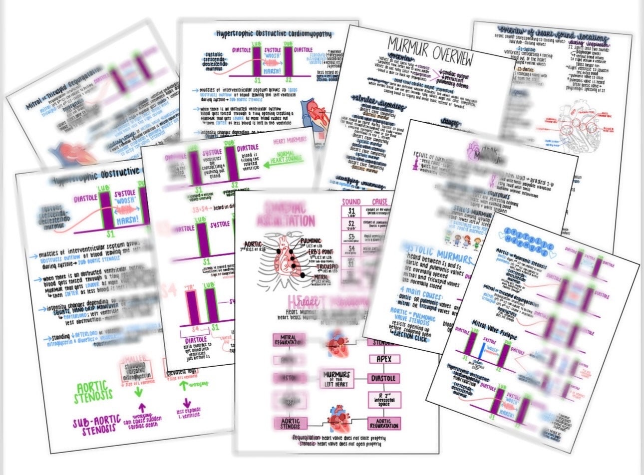 HEART MURMURS Nursing Notes for Nurses - Etsy