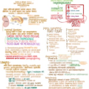 Puede incluir: Un gráfico médico escrito a mano con el título "Feocromocitoma" y un diagrama de las glándulas suprarrenales. El gráfico enumera los síntomas, las causas, los diagnósticos y las opciones de tratamiento para la condición.