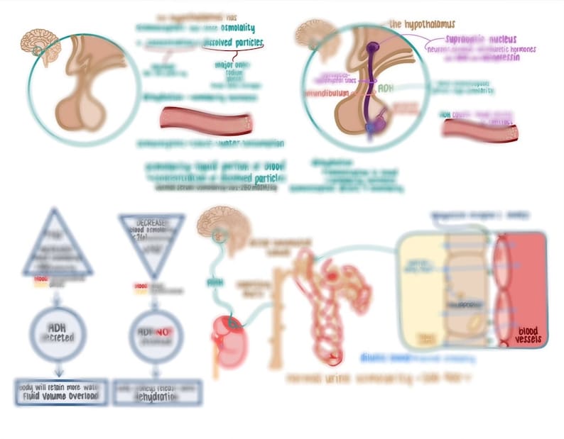 Mastering Fluid Balance: DI Vs. SIADH Nursing Notes for In-depth ...