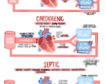 Comprehensive Shock Notes: Types, Stages, Causes, Treatments & Interventions for Nursing Students and Professionals