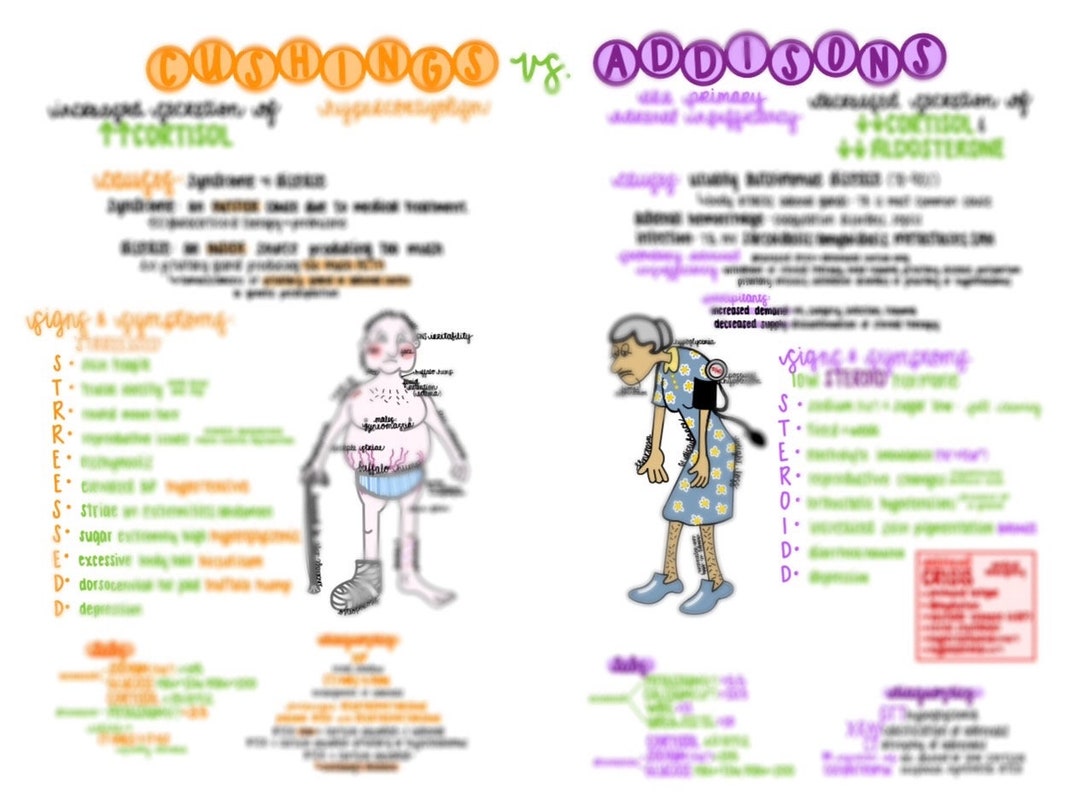 Addison’s Disease and Cushing’s Syndrome: A Comparative Nursing Study ...