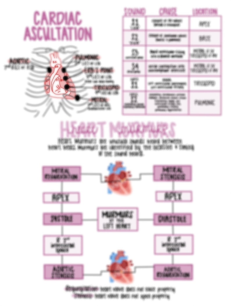 Heart Murmurs Nursing Notes For Nurses Etsy