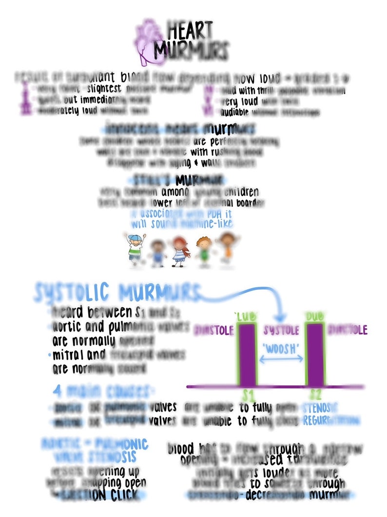 HEART MURMURS Nursing Notes for Nurses - Etsy