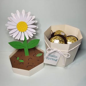 May include: A paper craft featuring a large white daisy with a yellow center, green stem and leaves, and a brown pot. Next to it is a white hexagonal container with gold-wrapped chocolates and a tag that says "Hello Spring".