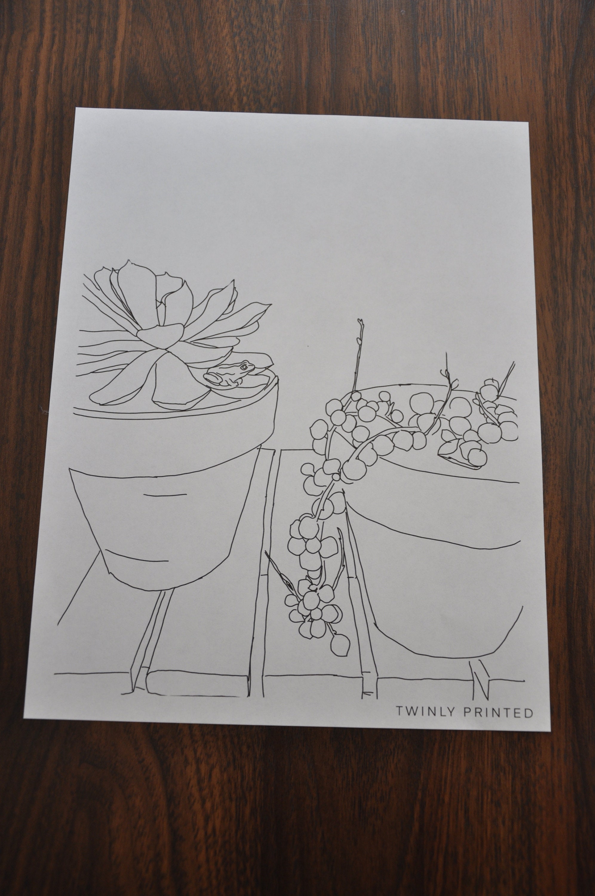 Printable Succulent and Frog coloring page