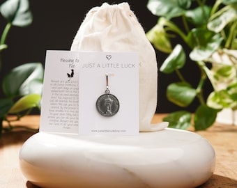 Saint Francis Pet Medal: Good Luck Charm Protect My Pet Cat or Dog Tag