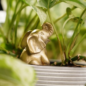 May include: A gold-coloured elephant figurine sitting in a pot of green plants. The elephant has its trunk raised and its ears are large.