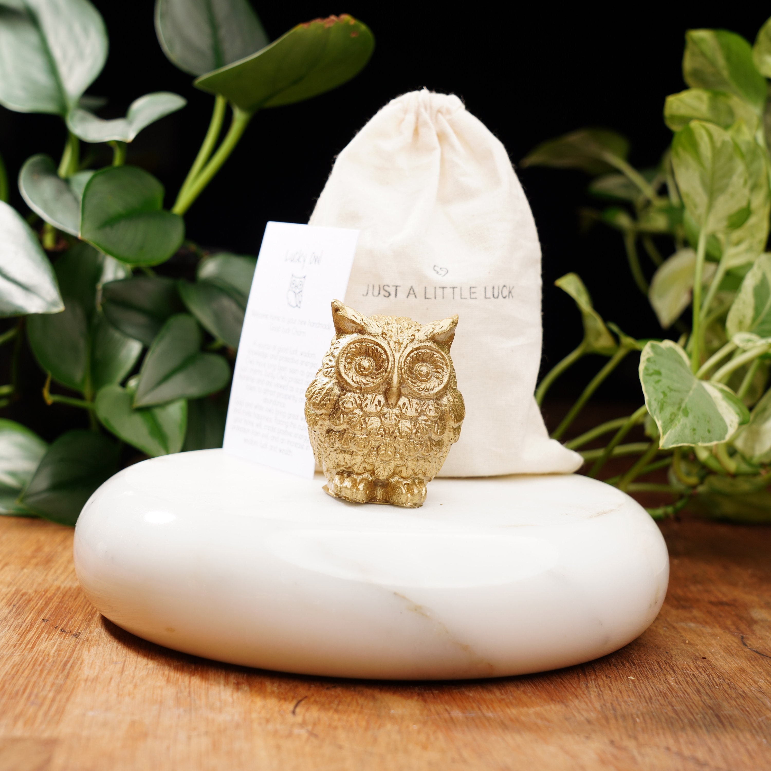 Gold Concrete Lucky Owl: Good Luck Charm for Wealth, Luck Gold Concrete Lucky Owl: Good Luck Charm for Wealth, Luck