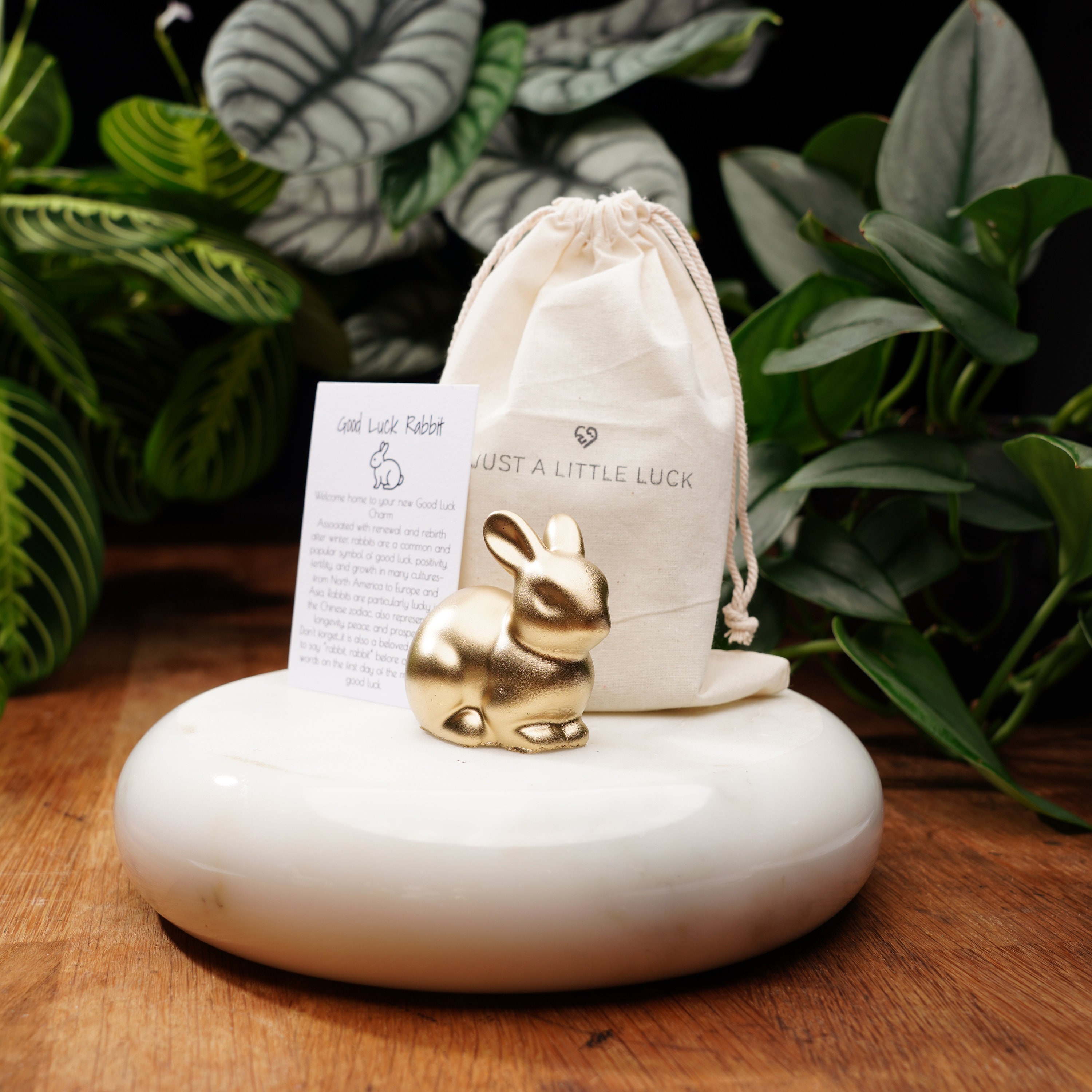 All Purpose Rabbit - Etsy