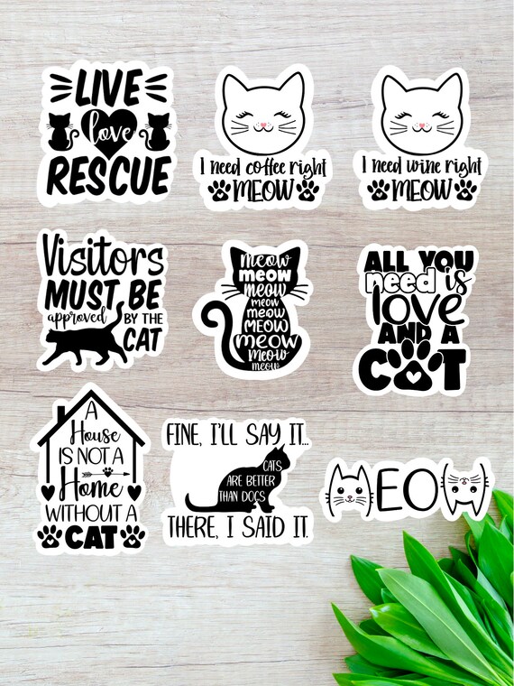 Home - MEOW Cat Rescue