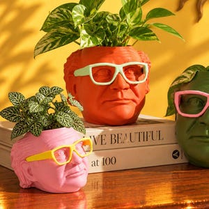 Puede incluir: Tres macetas con forma de cabeza en naranja, verde y rosa, cada una con gafas de plástico de colores contrastantes. La maceta naranja tiene gafas verde claro, la verde tiene gafas rosas y la rosa tiene gafas amarillas. Cada una contiene una planta verde.