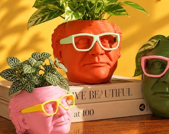 May include: Three head-shaped planters in orange, green, and pink, each wearing plastic glasses in contrasting colours. The orange planter has light green glasses, the green one has pink glasses, and the pink one has yellow glasses. Each holds a green plant.