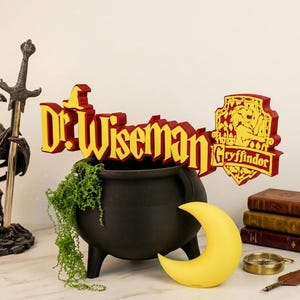 May include: A decorative scene featuring a dragon statue holding a sword, a black cauldron with greenery, and a sign that says "Dr. Wiseman" and "Gryffindor". Also includes a yellow crescent moon, books, and a compass.