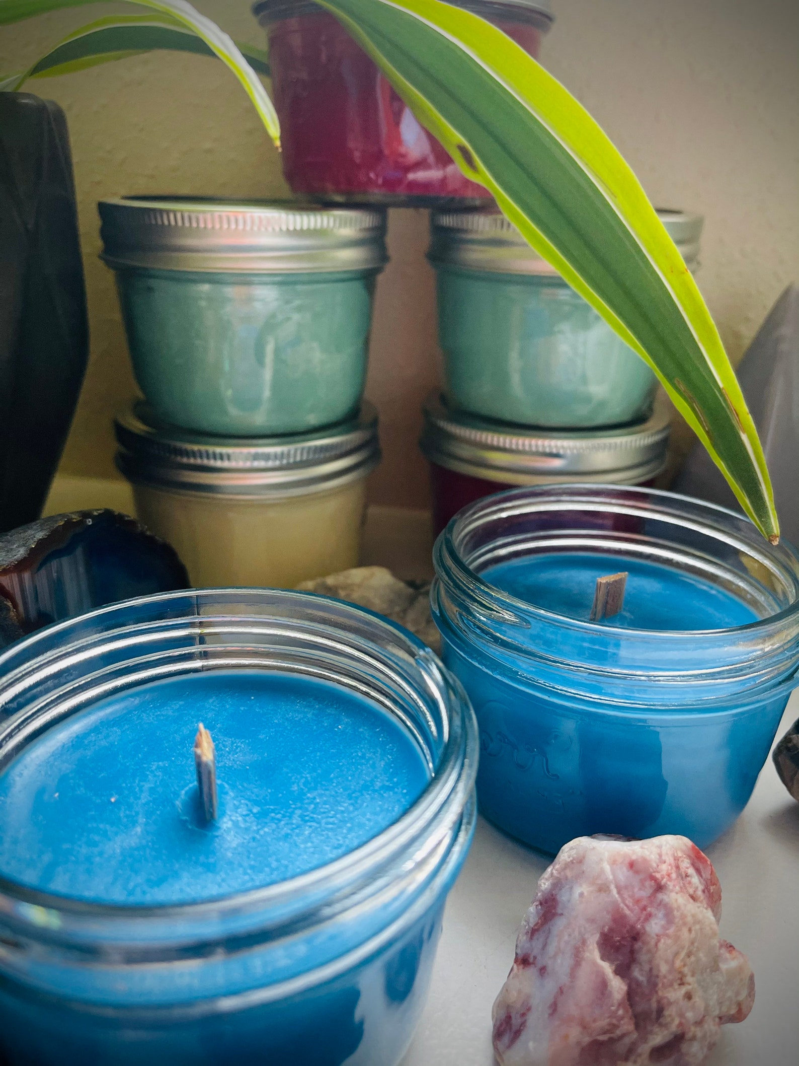 Forest Pine Scented Soy Candles w/ Crackling Wooden Wicks Etsy