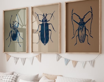 Toddler Boys Room Wall Décor Beetle Nursery Prints Set 3, Insect Poster Print Under 5s Gift, Entomology Wall Art Boys Bedroom Multi Color