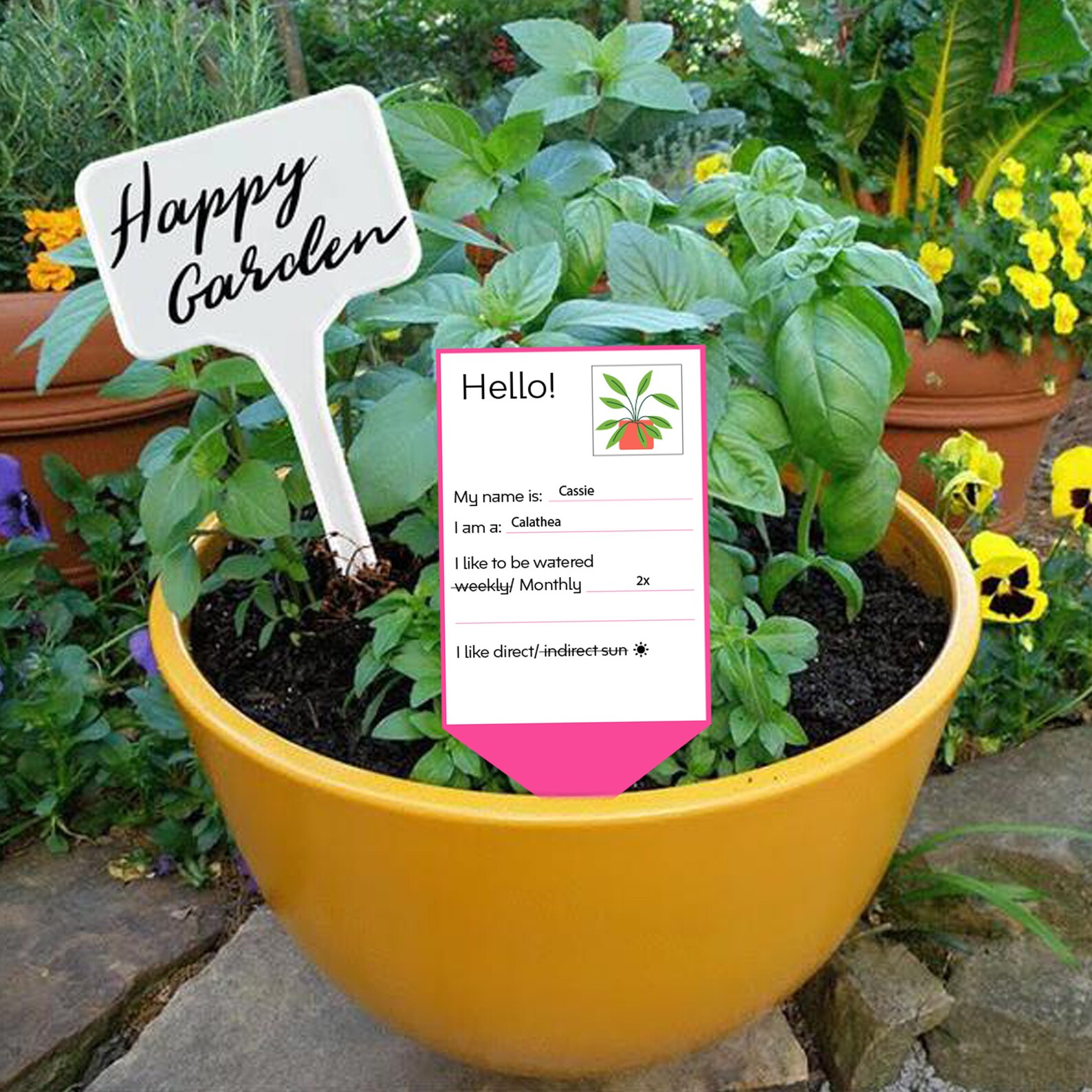 Printable Plant Tags Editable Plant Tags Garden Stakes Etsy