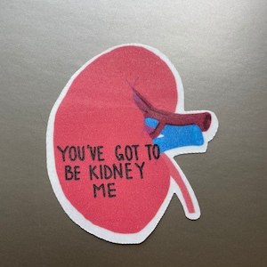 You&#39;ve got to be Kidney Me Aufkleber | Anatomie Aufkleber, Therapie, PT | Laptop und Wasserflasche