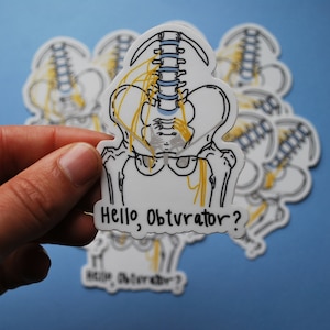 Hello obturator sticker| anatomy sticker, therapy, PT | laptop and water bottle |vinyl stickers