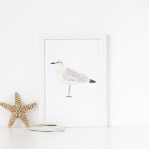 Seagull Watercolor Print: Coastal Bird Art