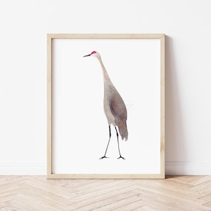 Sandhill Crane Wall Art, Sandhill Crane Print, Bird Wall Decor, Bird Lover Gift, Gift for Mom, Birding Home Decor, Hand-painted print