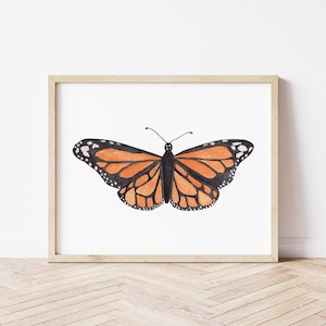 Monarch Butterfly Print, Hand-painted Butterfly Art, Orange & Black insect artwork, Dorm Wall Art, Nursery artwork, Gift for Her, home decor