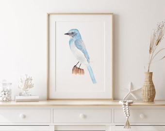 Bird Wall Art, Bird Wall Decor, Scrub-jay Art Print, Scrub-jay Watercolor Print, Coastal Decor, Beach Decor, Lake House Decor Bird Art Print