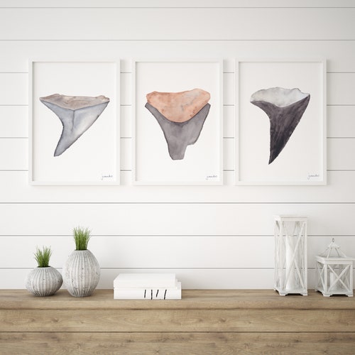 Shark Teeth Watercolor Art Print Set of 3 Discounted Etsy