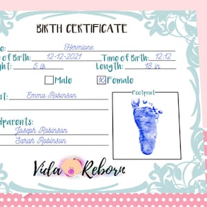 Reborn Baby Doll Birth Certificate Print and Fill In Etsy UK