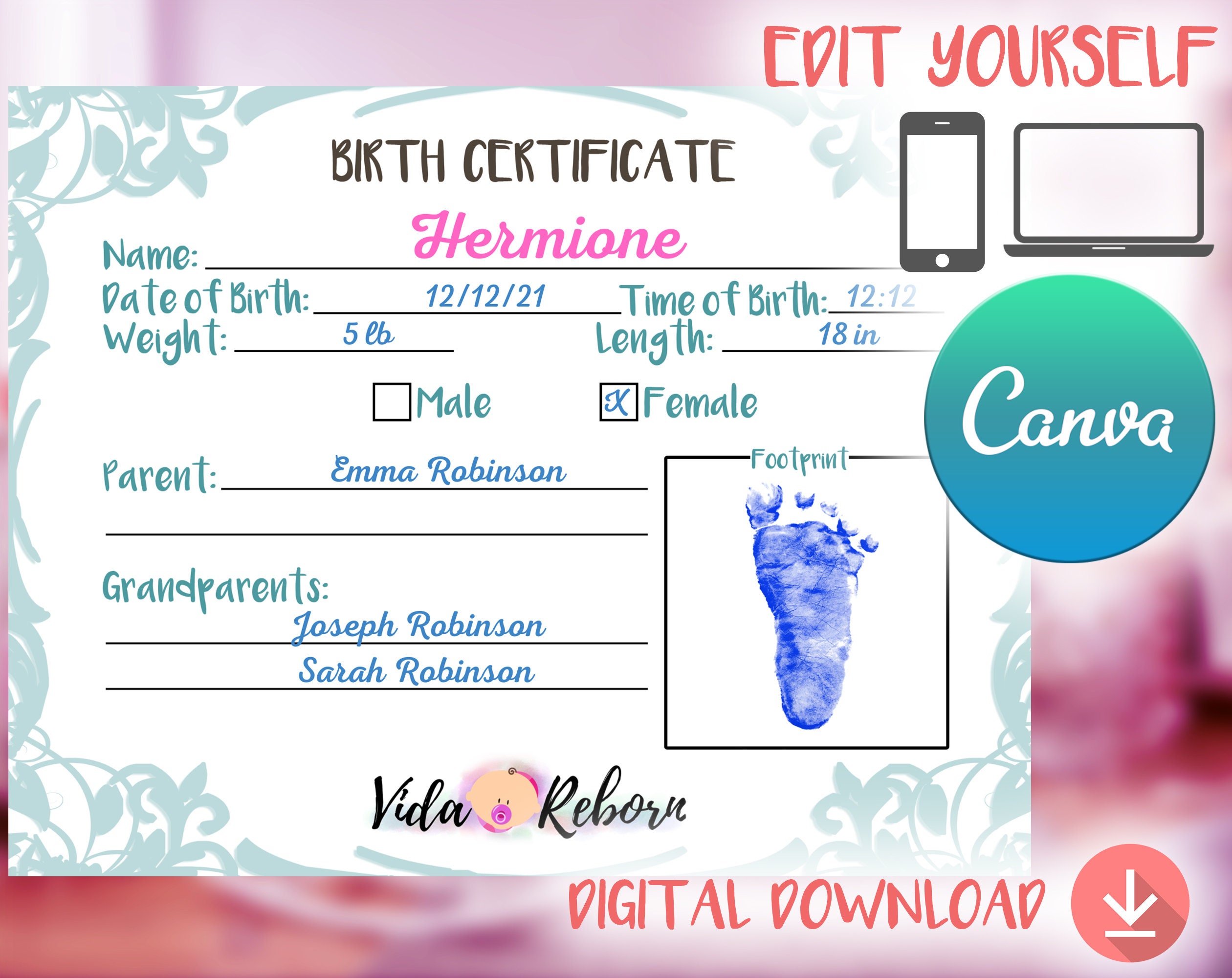 Reborn Birth Certificate fillable & Instant Download Reborn   Etsy