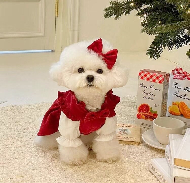 Lady Cute Bow Small Fragrance Dog Clothes Winter Puppy Dog Sweater