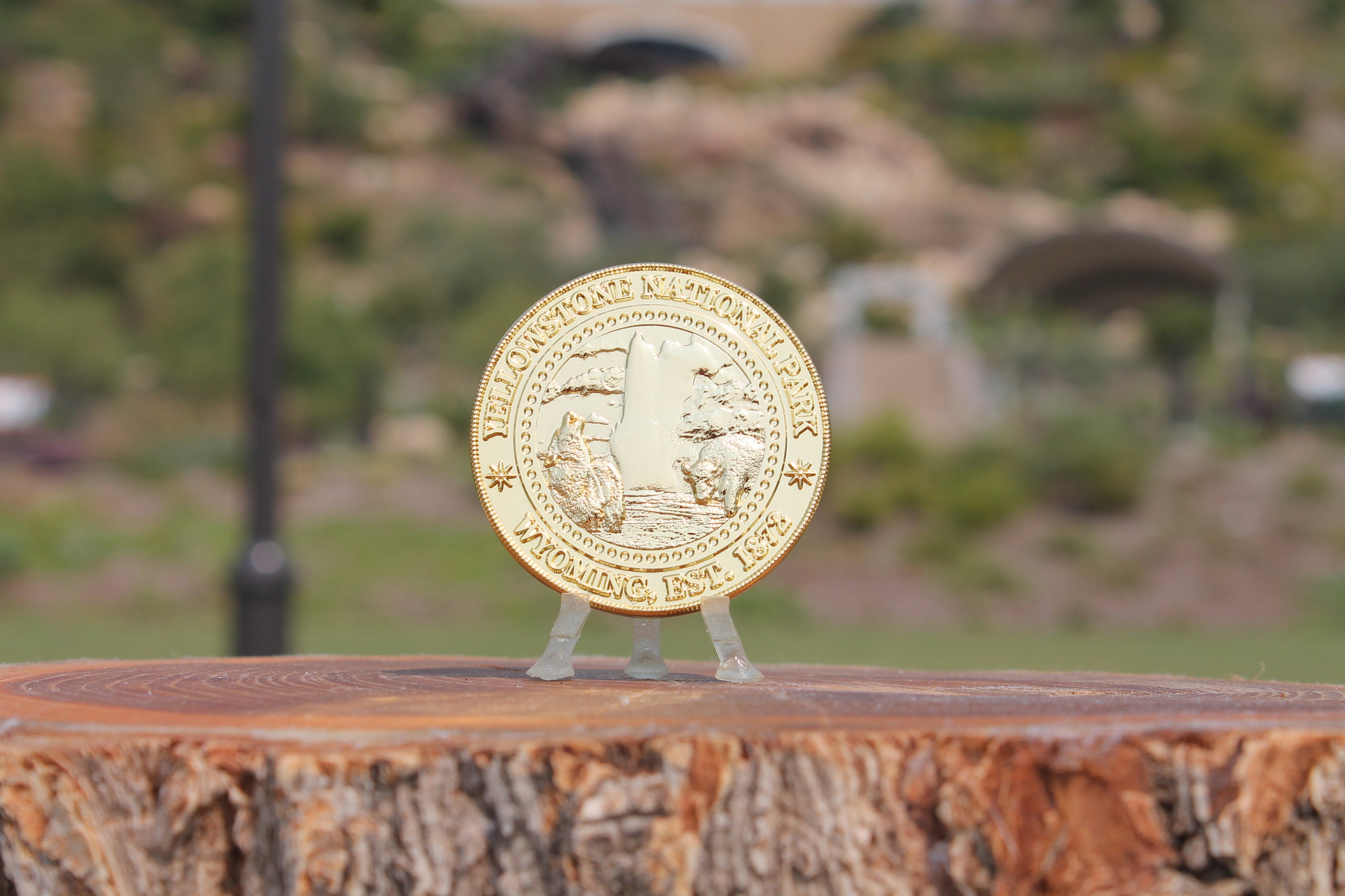 Yellowstone National Park Coin (with Buffalo), Gold, Collector