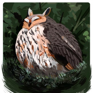 Hibou des marais || Impression artistique