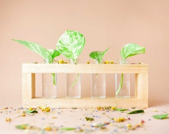 AZAELA | Hand Crafted Propagation Station | Propagation Vases | Test Tube | Glass Jars |