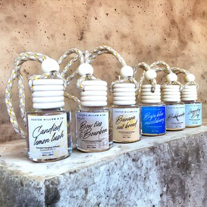 Hanging Car Fragrance Diffuser