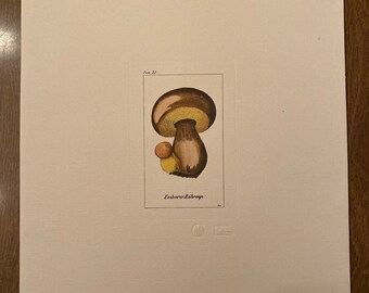 Litho de setas italianas vintage