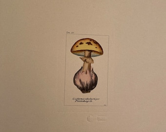 Litho de setas vintage