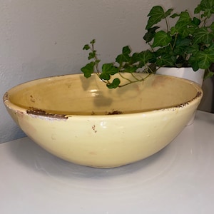 May include: A large, pale yellow ceramic bowl with a distressed, aged appearance. The bowl has a wide, shallow shape and a slightly chipped rim. A small green plant with ivy-like leaves is placed inside the bowl.