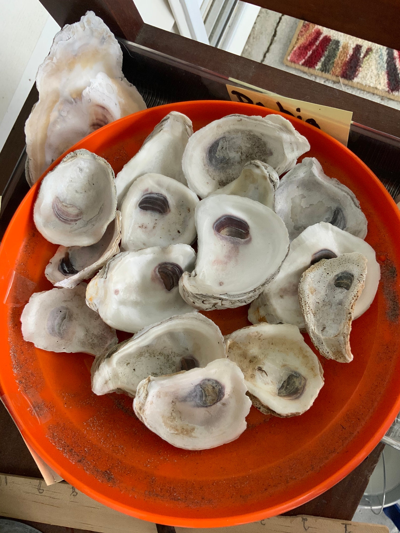 25 Bulk assorted oyster shells Etsy