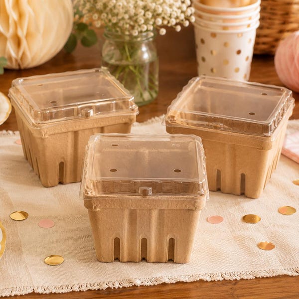 Pack of 30 Kraft Berry Baskets with Lids, Baby Shower Birthday Bridal Favors