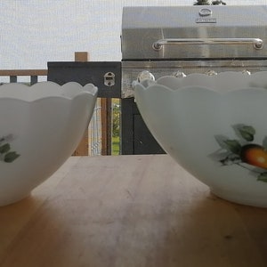 Arcopal France Fruits de France - Set of 2 serving bowls - 8 inches and 9 inches